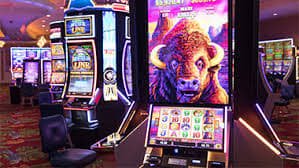 Demo Live Casino dengan dealer profesional di itoto